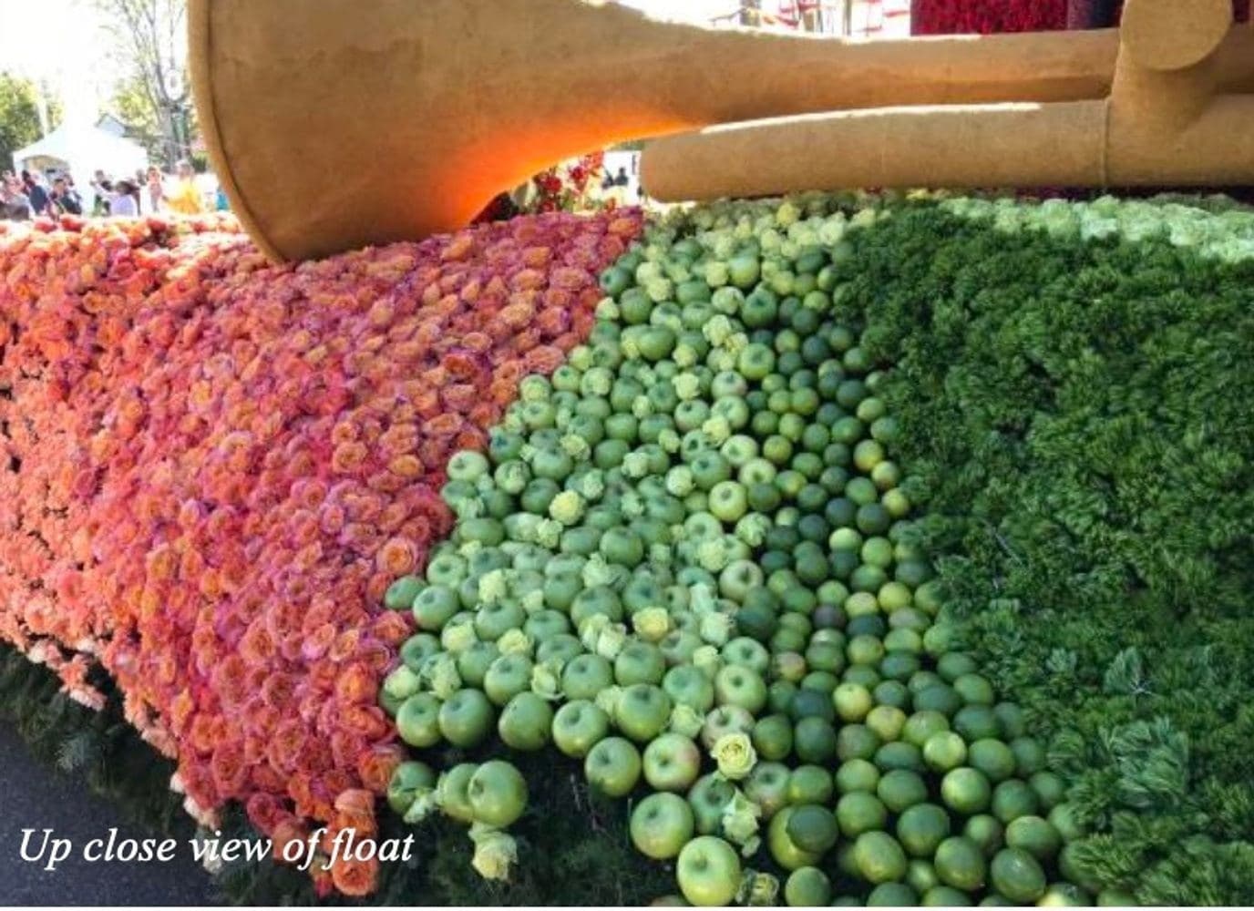 California Rose Parade — photo 5