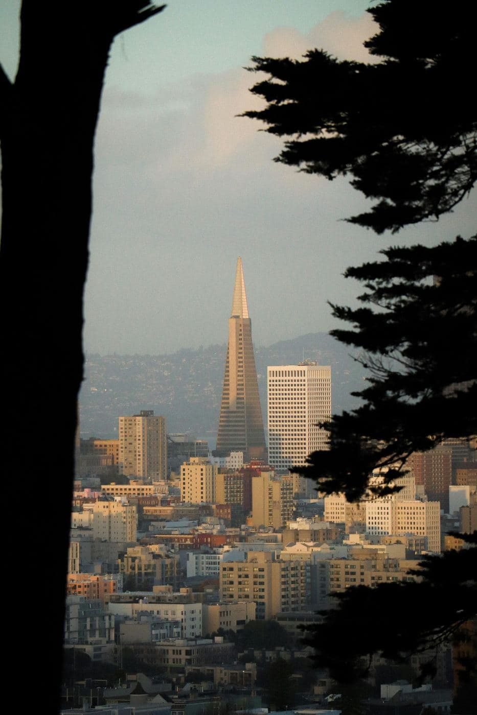 Northern California — photo 13