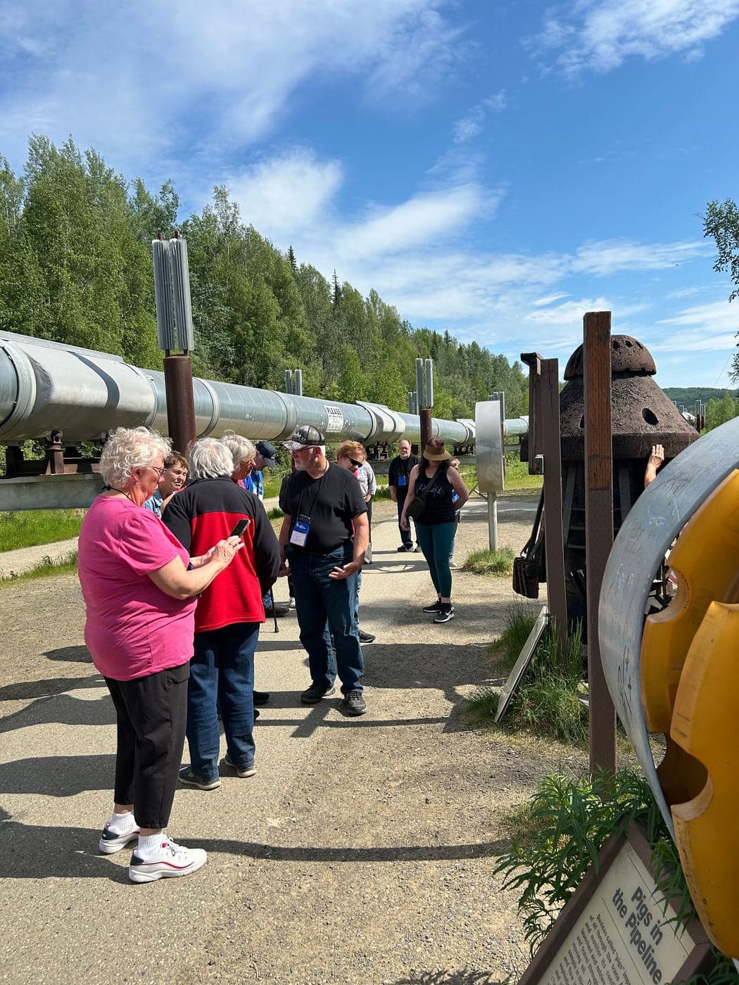 Alaska Land Tour — photo 11
