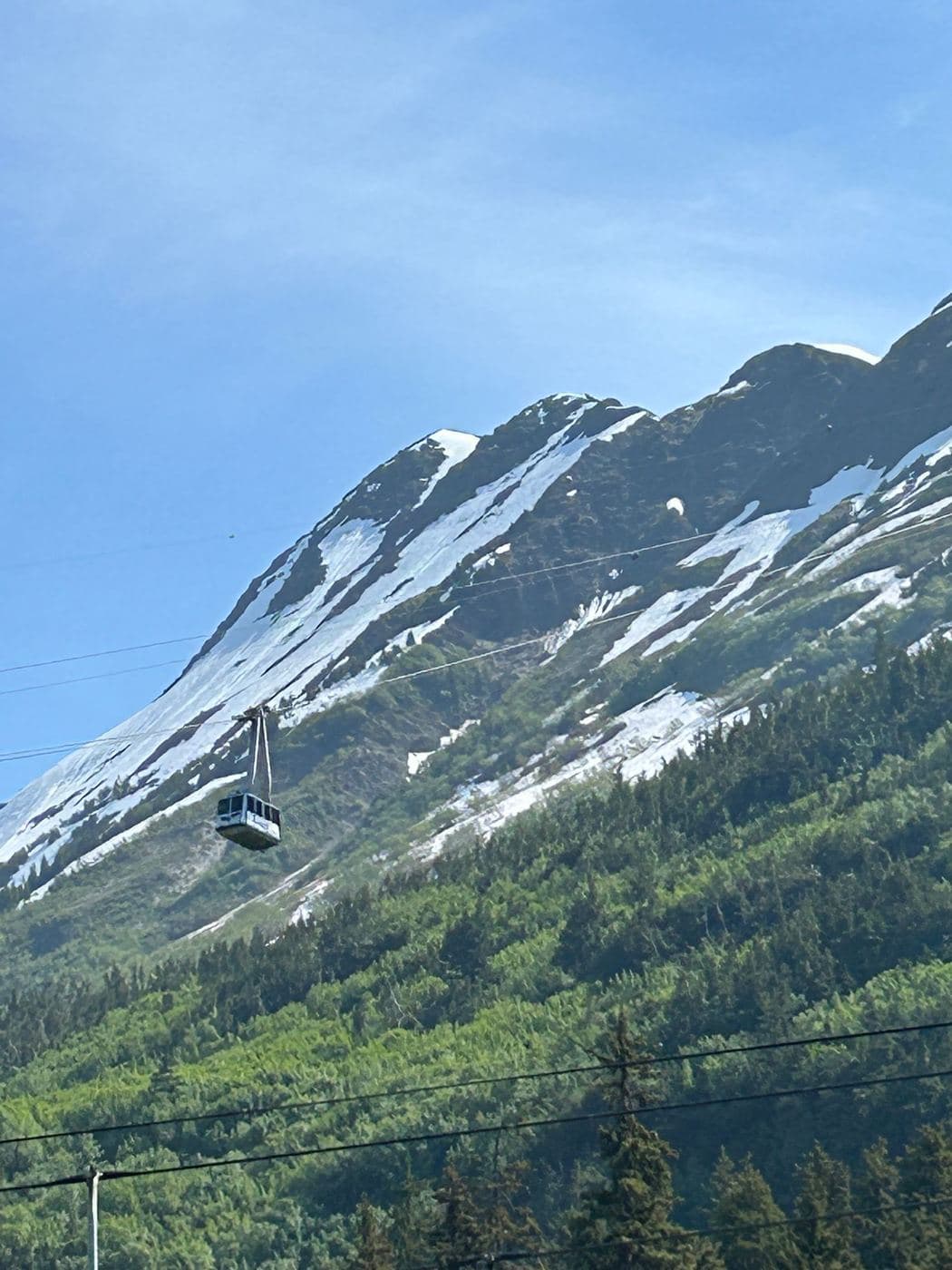 Alaska Land Tour — photo 5