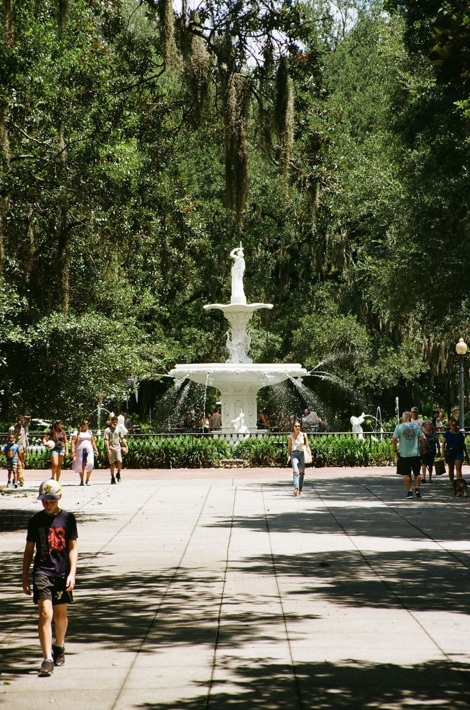 Southeast Splendor: Charleston & Savannah — photo 12