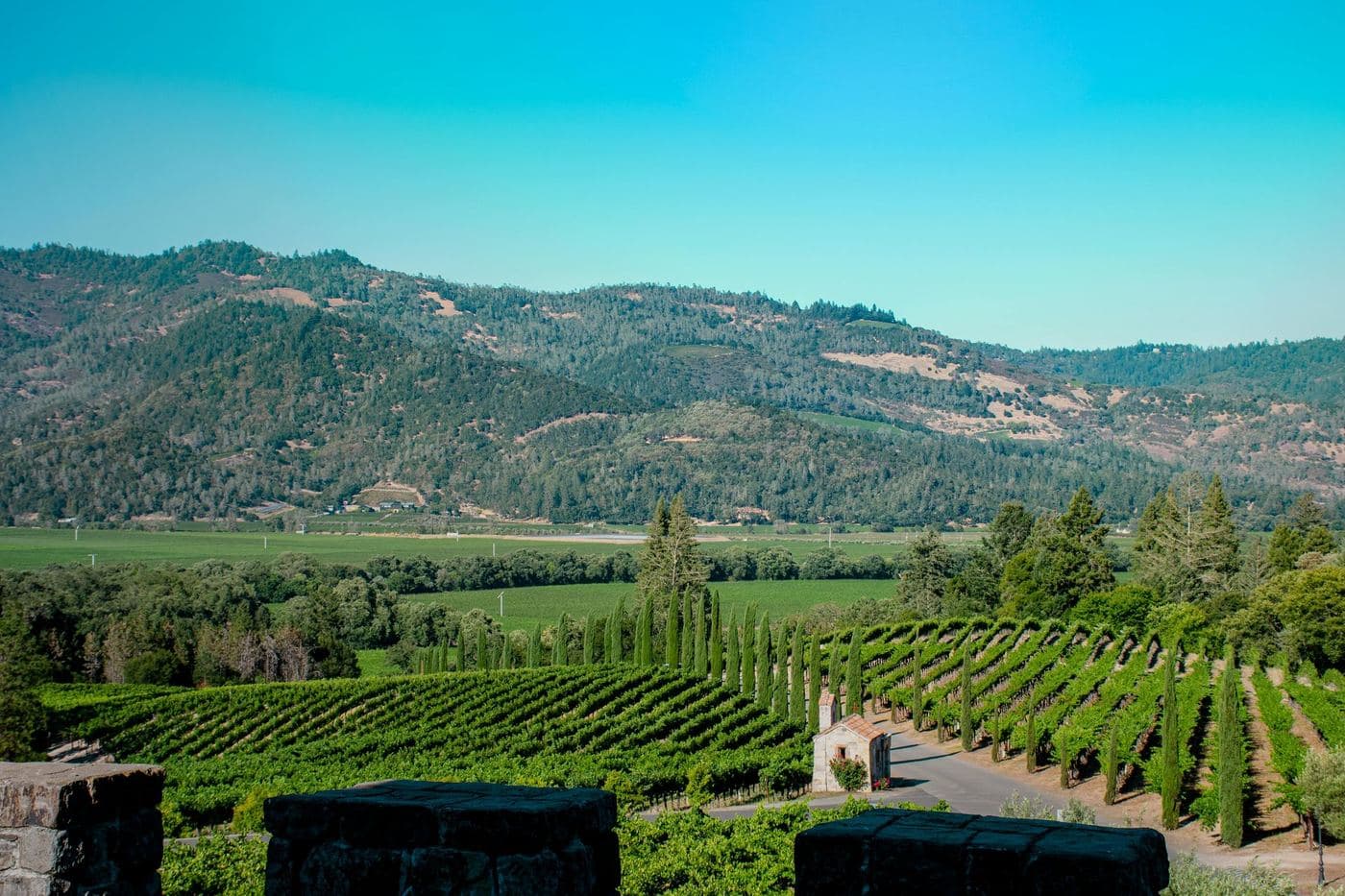Northern California — photo 7