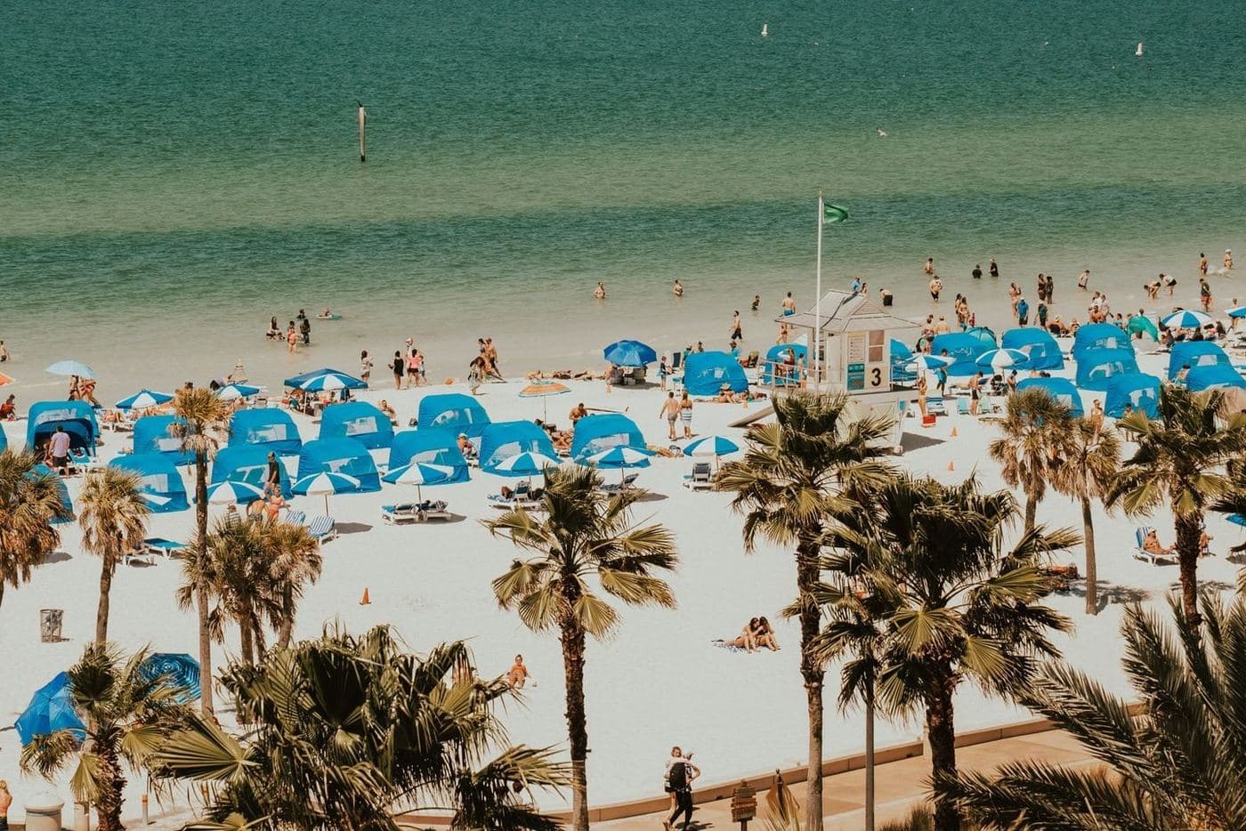 Florida Relaxation — photo 5