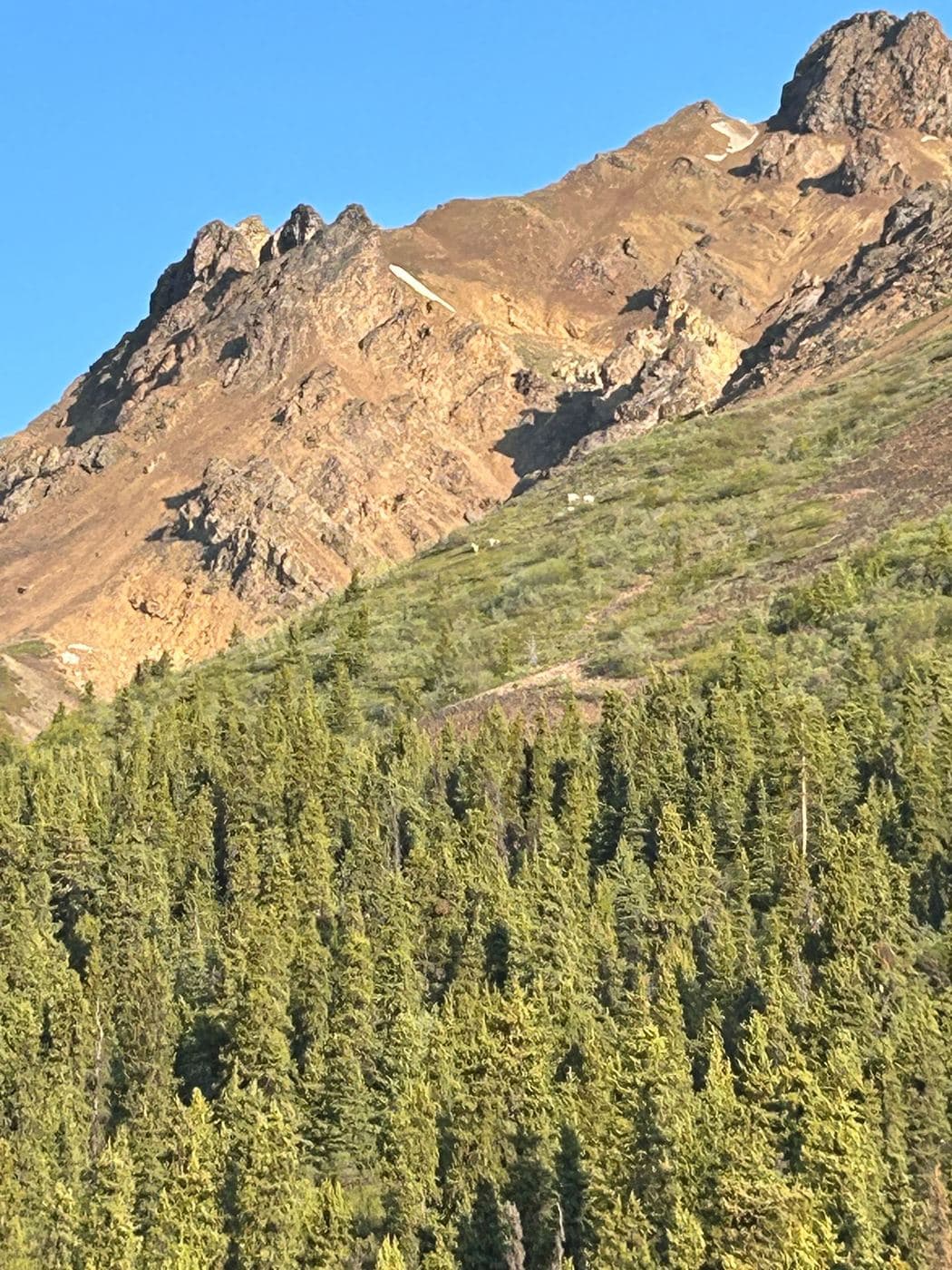 Alaska Land Tour — photo 2