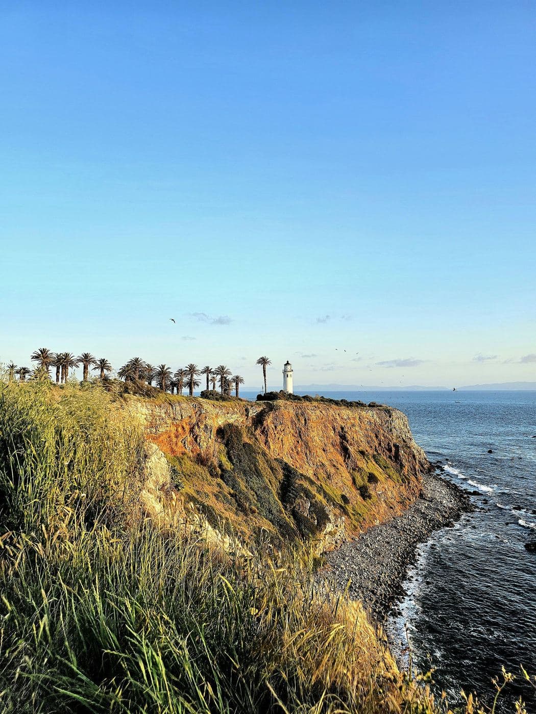 Northern California — photo 15