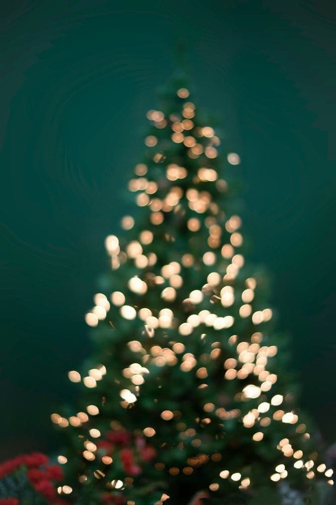 Christmas in Branson #2 — photo 1