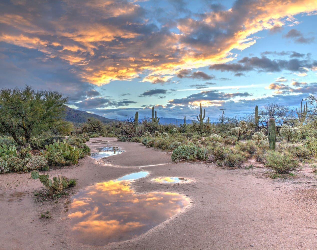 Arizona Spring Training & Scenic Southwest — photo 7