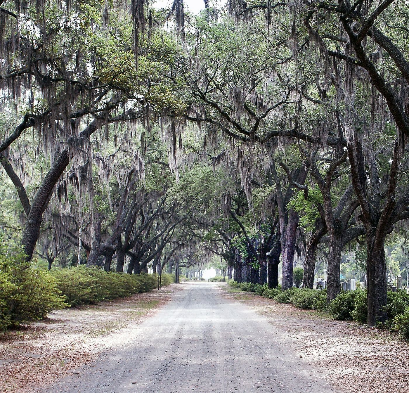 Southeast Splendor: Charleston & Savannah — photo 6