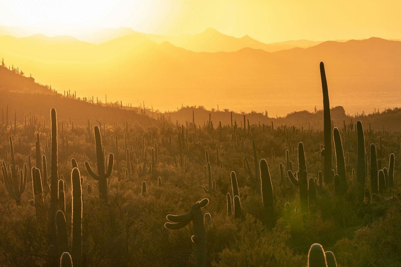 Arizona Spring Training & Scenic Southwest — photo 8