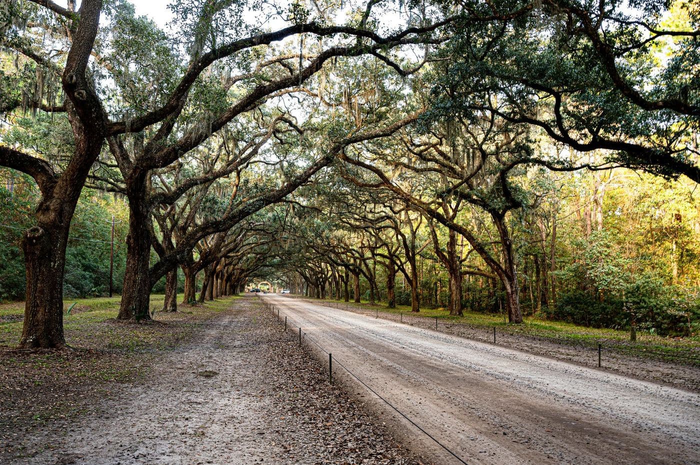 Southeast Splendor: Charleston & Savannah — photo 9