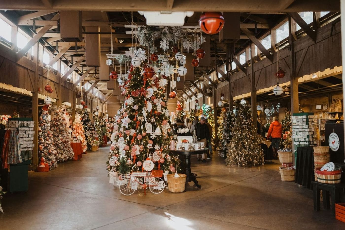 Christmas in Branson #1 — photo 4