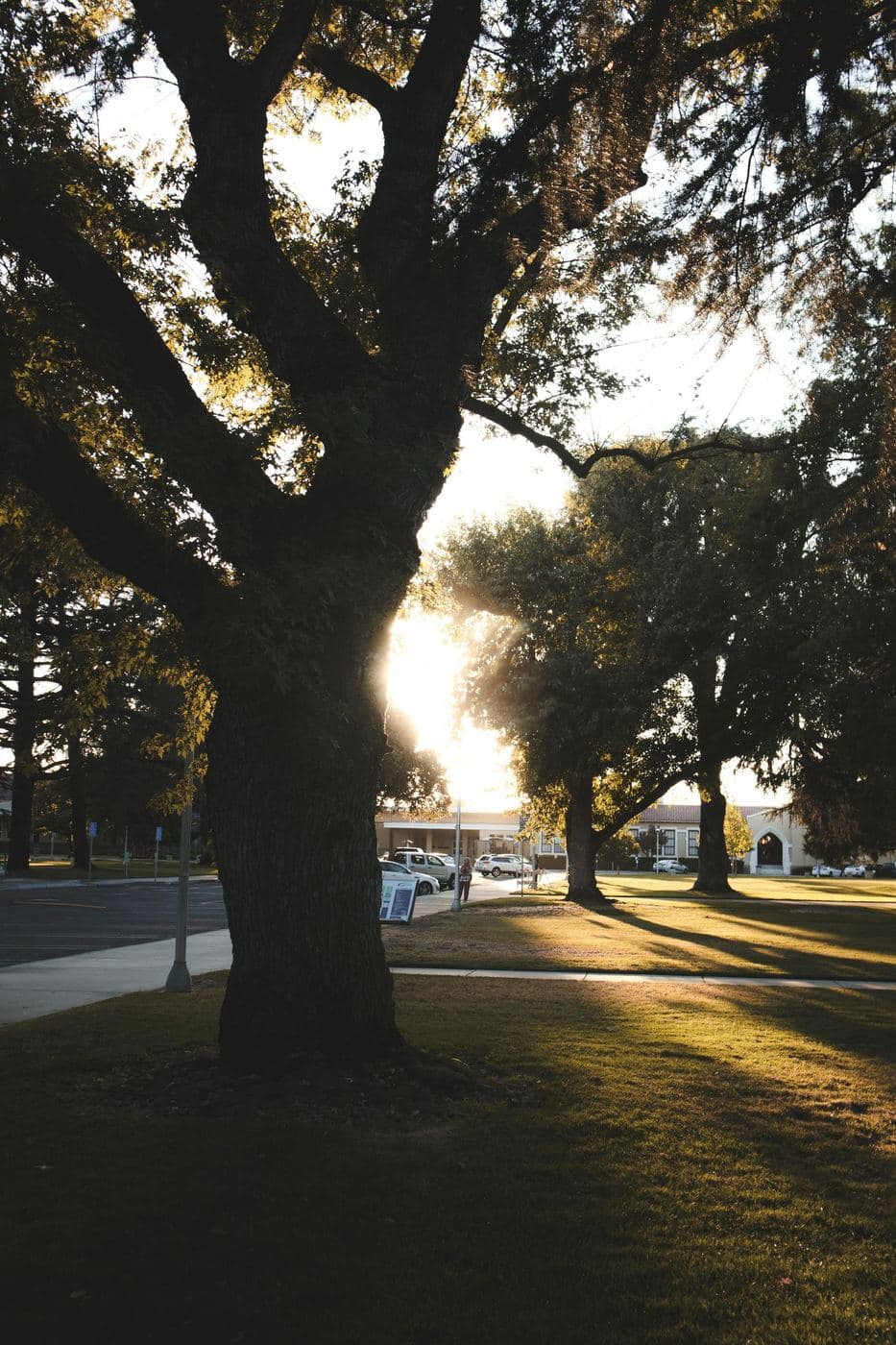 Northern California — photo 4