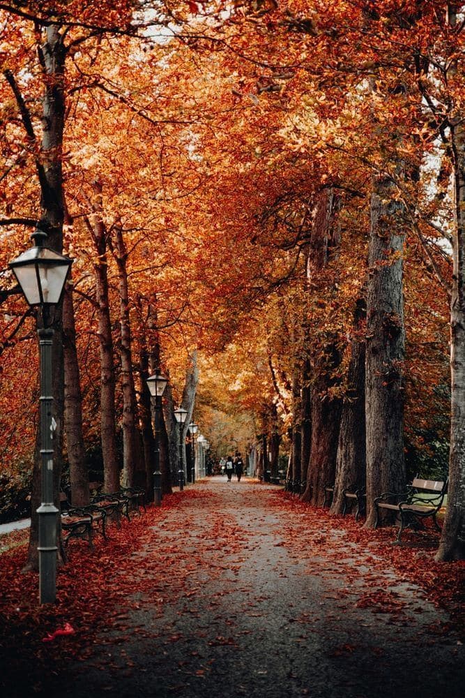 New England in Fall — photo 1