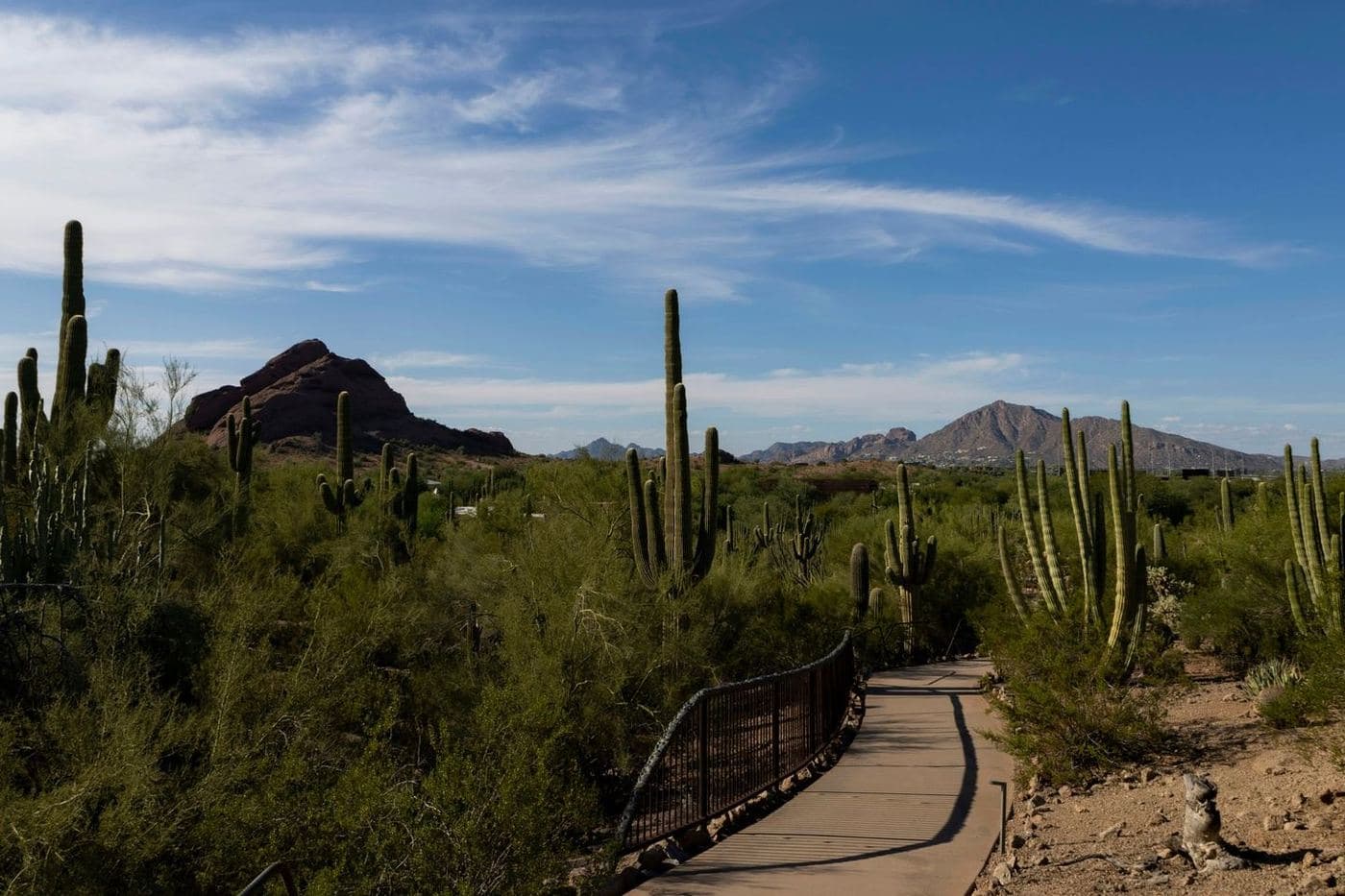 Arizona Spring Training & Scenic Southwest — photo 6