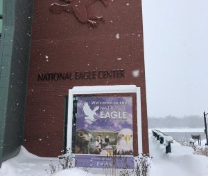 Nat'l Eagle Center