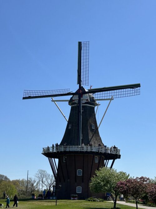 Img 0235