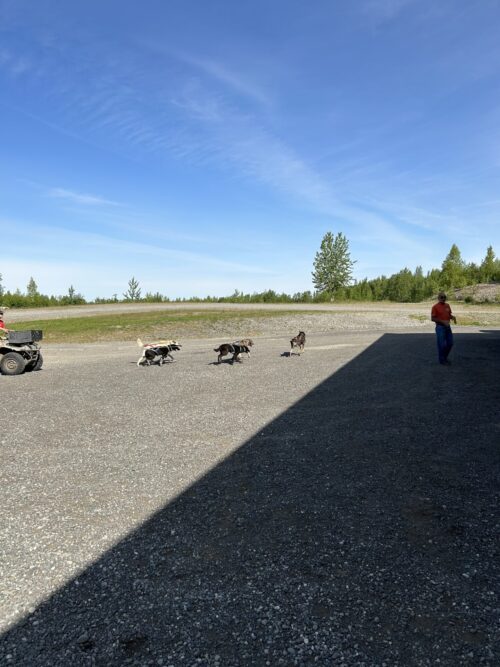 Img 0259