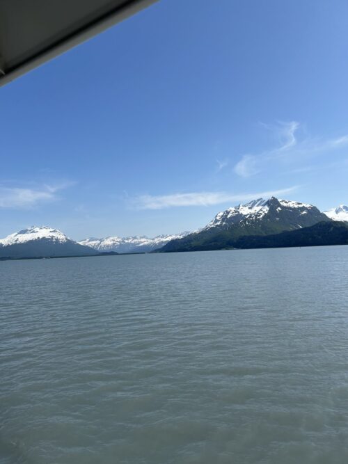 Img 0301