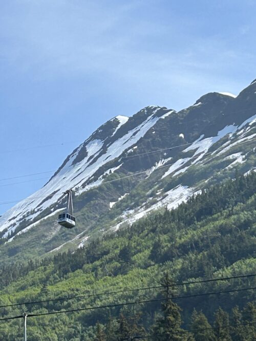 Img 0310