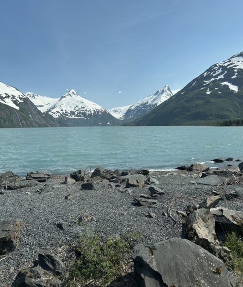 Img 0311