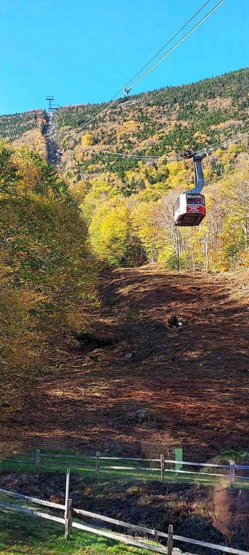 Resized 20251003 100111