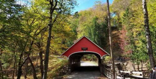 Resized 20251003 125106